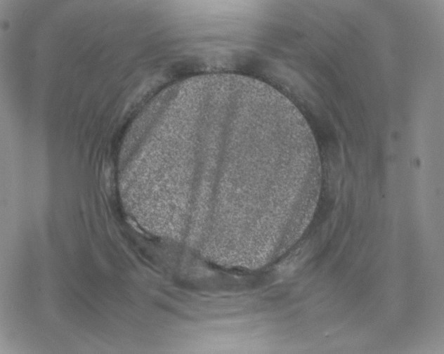 X0000077290123200611171637