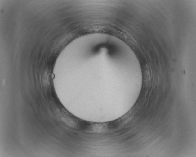 X0000077290126200611171637