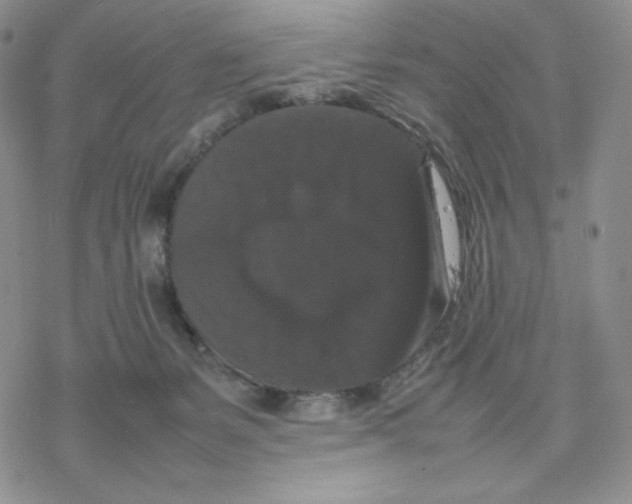 X0000077290127200611171637