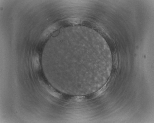 X0000077290128200611171637