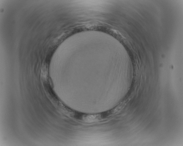 X0000077290129200611171637