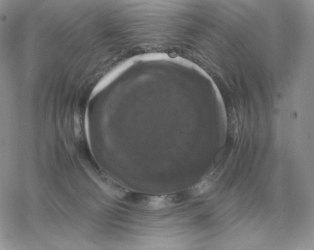 X0000077290130200611171637