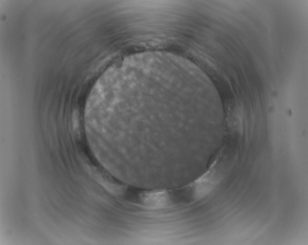 X0000077290132200611171637