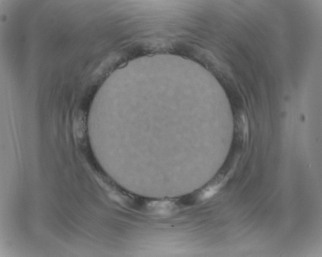 X0000077290133200611171637