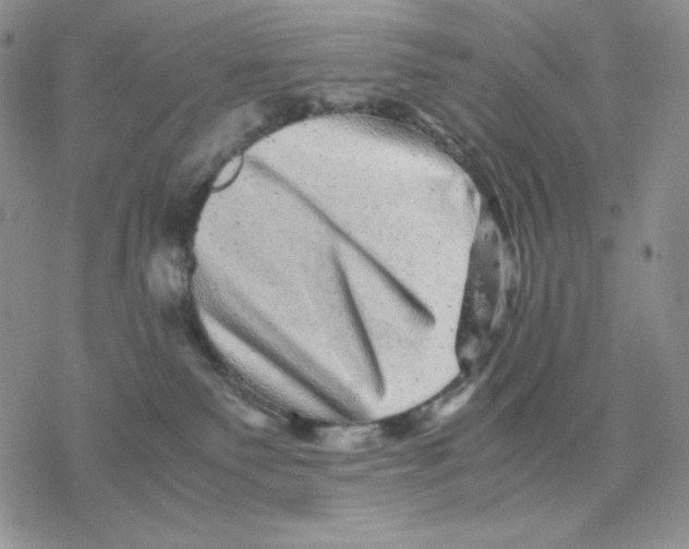 X0000077290135200611171637