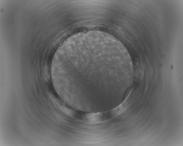 X0000077290136200611171637