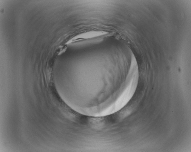 X0000077290139200611171637