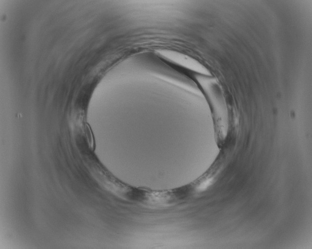 X0000077290141200611171636