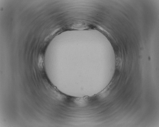 X0000077290142200611171636