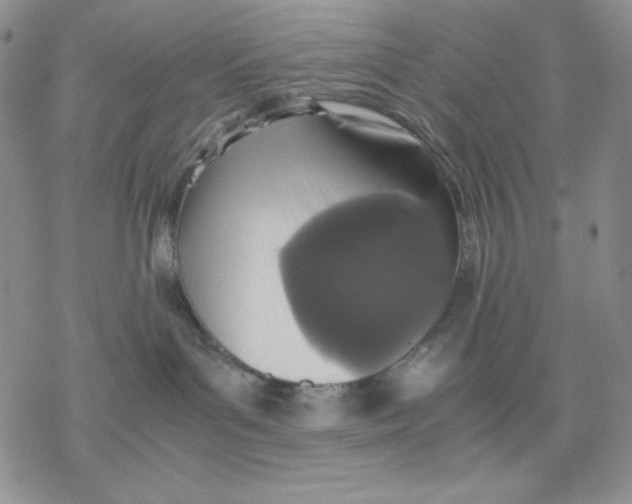 X0000077290143200611171636