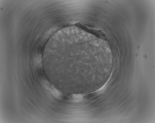 X0000077290144200611171636