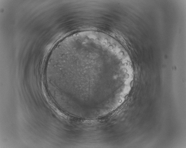 X0000077290145200611171636