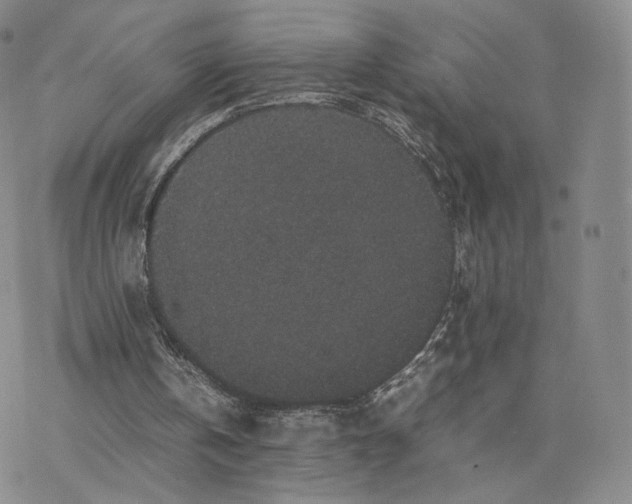 X0000077290146200611171636