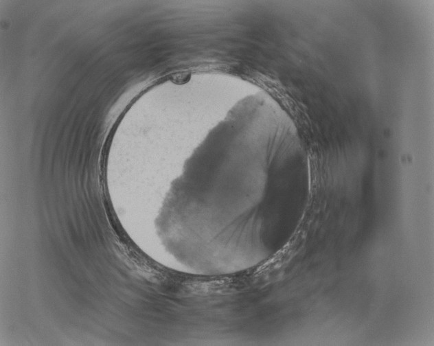 X0000077290147200611171636