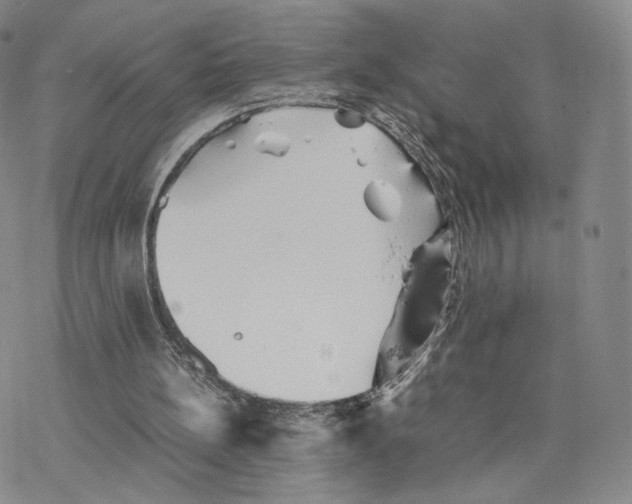 X0000077290148200611171636