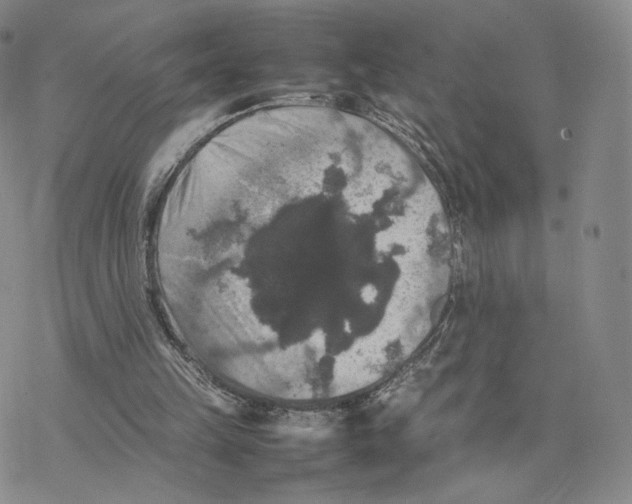 X0000077290149200611171636