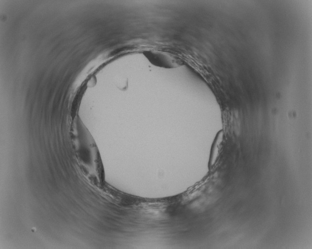 X0000077290150200611171636