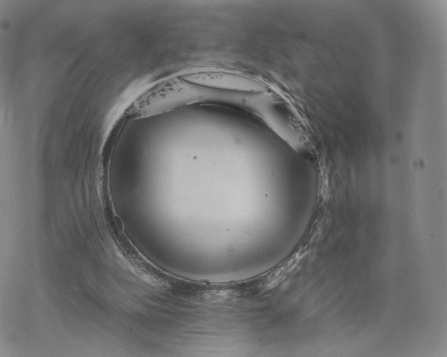 X0000077290152200611171636