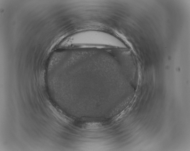 X0000077290154200611171636