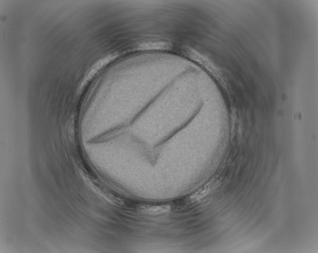 X0000077290155200611171636