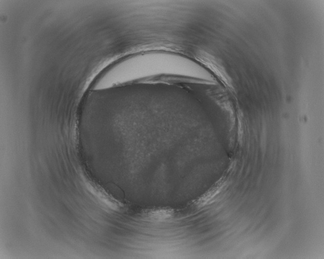 X0000077290156200611171636