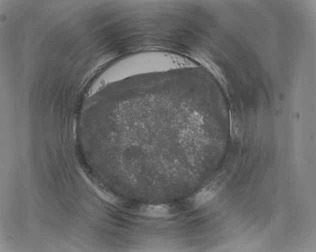 X0000077290157200611171636