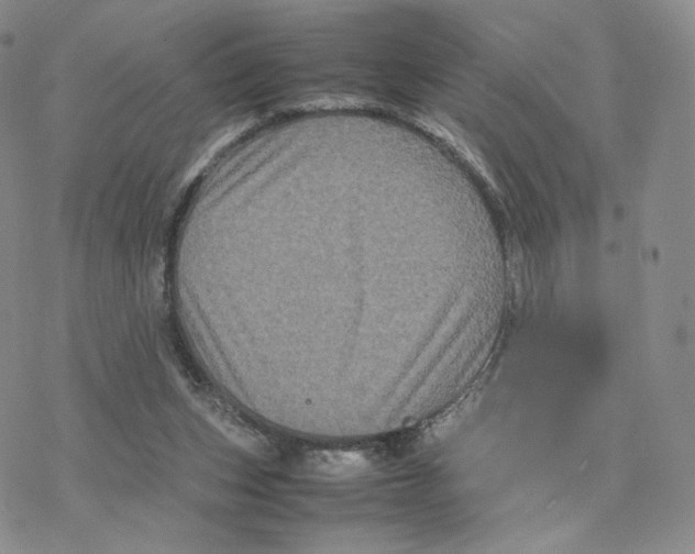 X0000077290159200611171636