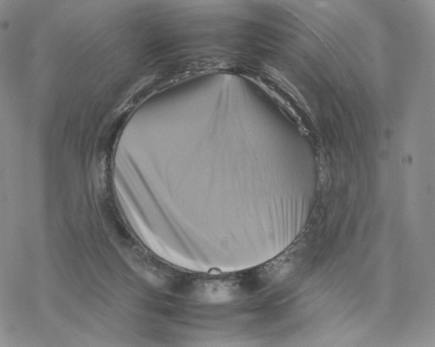 X0000077290163200611171636