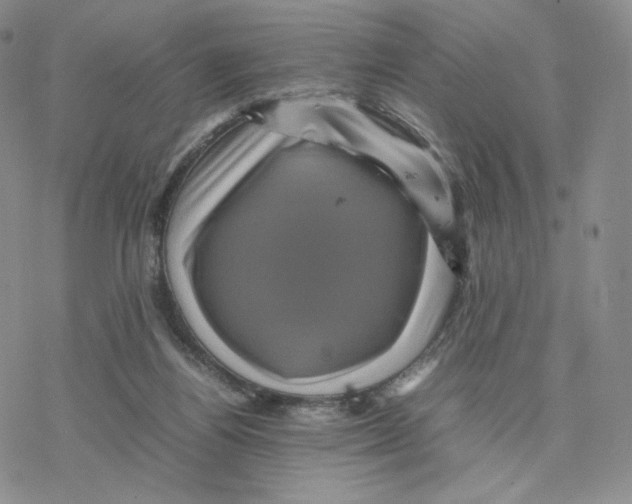 X0000077290164200611171636