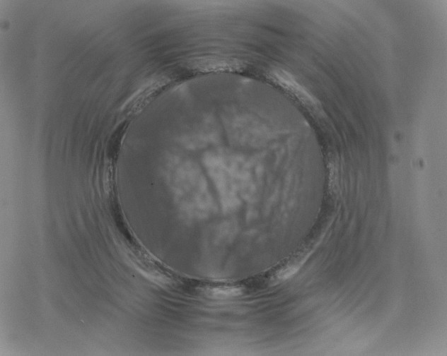 X0000077290165200611171636