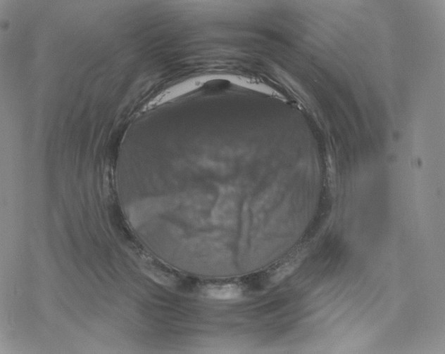 X0000077290169200611171636