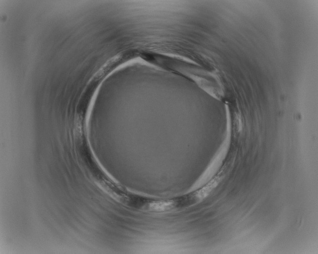 X0000077290172200611171636