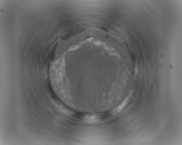 X0000077290174200611171636