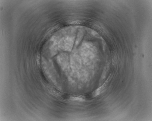 X0000077290175200611171636