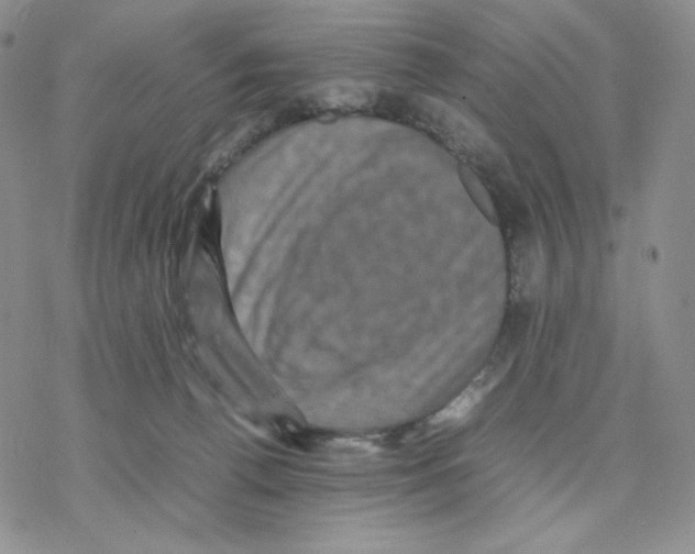 X0000077290176200611171636