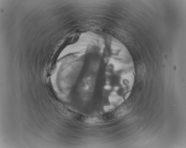 X0000077290177200611171636