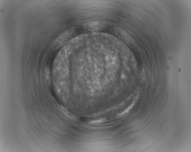 X0000077290178200611171636