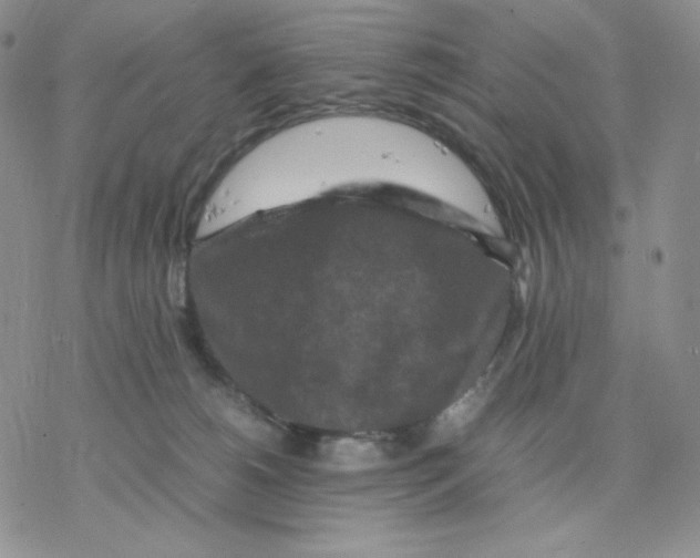 X0000077290180200611171636