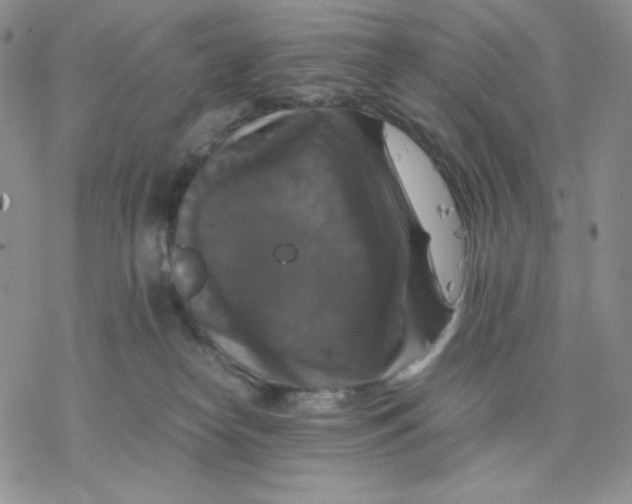 X0000077290182200611171636