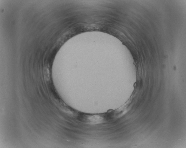 X0000077290183200611171636