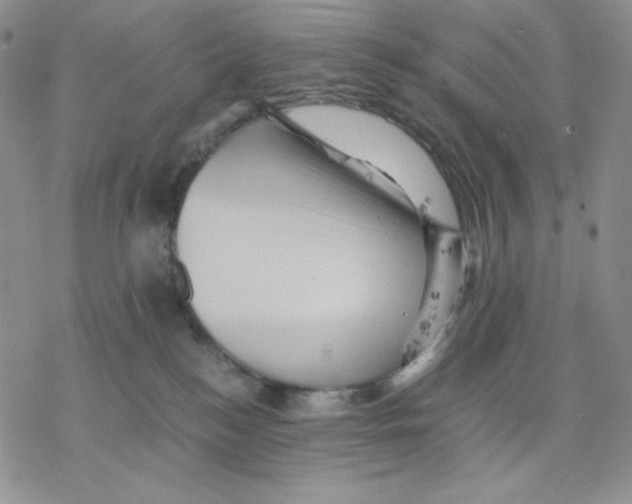 X0000077290184200611171636