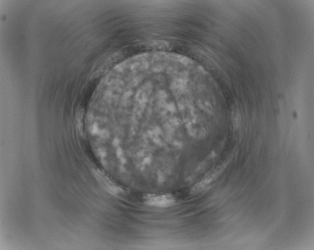 X0000077290185200611171636