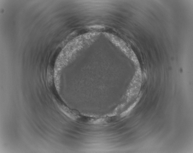 X0000077290186200611171636