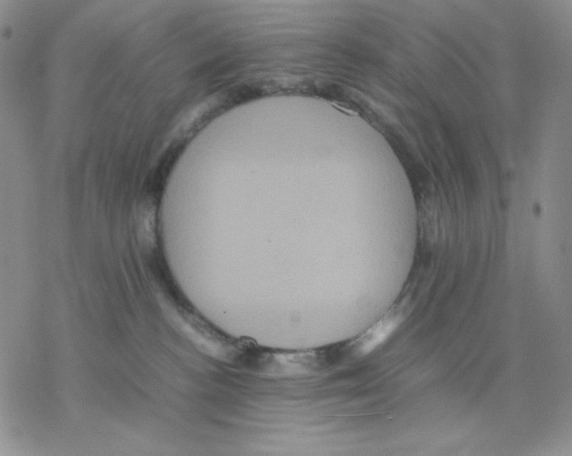 X0000077290188200611171636