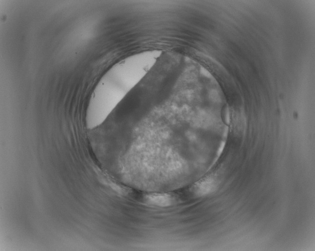 X0000077290189200611171636