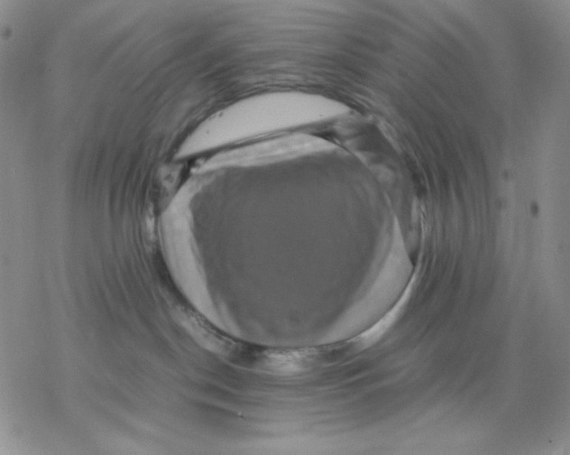 X0000077290190200611171636