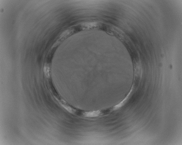 X0000077290191200611171636