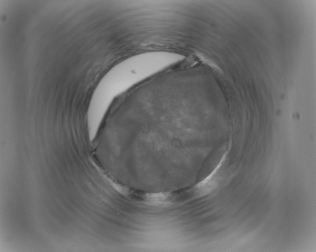 X0000077290192200611171636