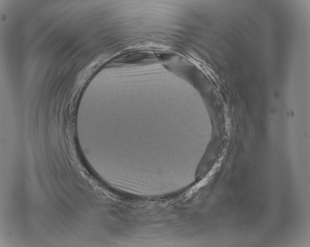 X0000077290193200611171636