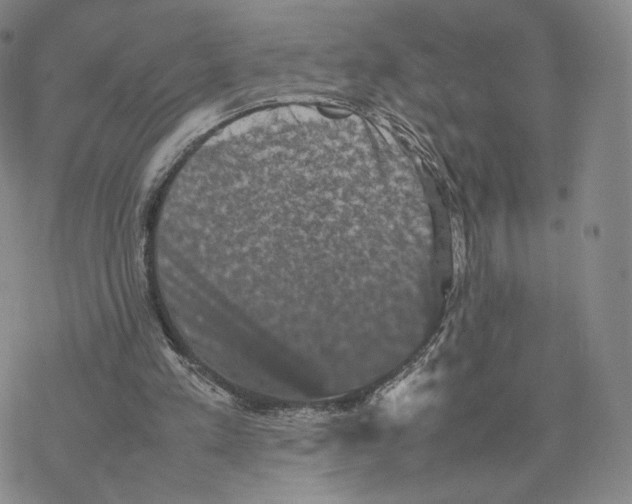 X0000077290197200611171636